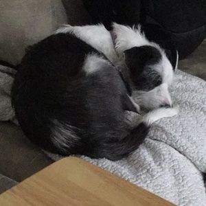 Meet your Posher, Katherine